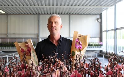 Duurzame lijn Phalaenature van Wooning Orchids vanaf nu verkrijgbaar